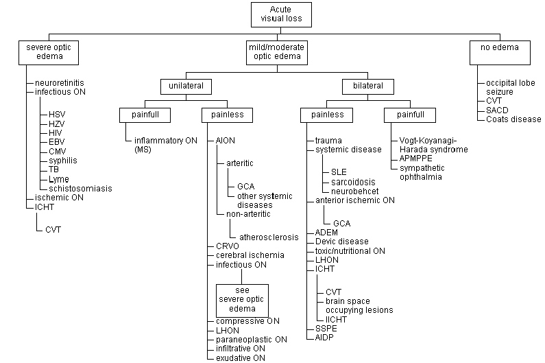 acute visual loss icd 10